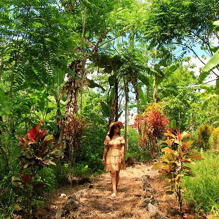 Natura Gardens Galapagos Bellavista  エクステリア 写真