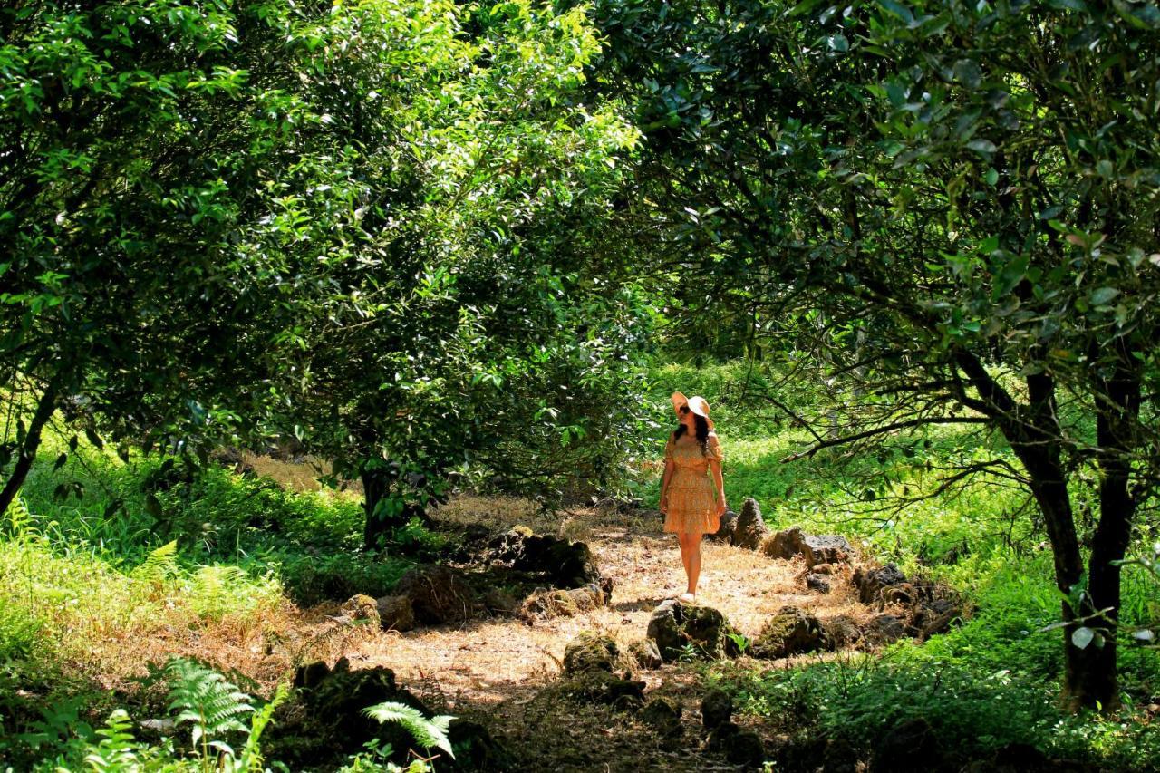 Natura Gardens Galapagos Bellavista  エクステリア 写真