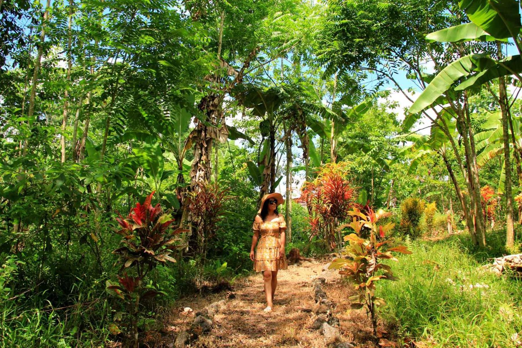 Natura Gardens Galapagos Bellavista  エクステリア 写真